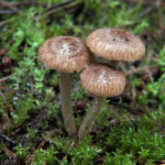 3d开奖跨度走势图最新精准分析与预测 7roh8lx9j