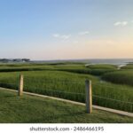 3D开奖走势图带连线专业版数据分析 9i1ve0