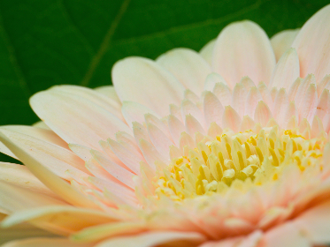 3D开奖豹子号震撼现身,今晚大奖花落谁家? 3D开奖豹子号震撼现身,今晚大奖花落谁家?