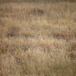 3D开奖规则详解:如何正确理解中奖号码判定标准 oi1vhlfte