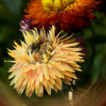 3D开奖视频直播全程高清实时在线观看 zkhq8