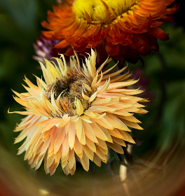 3D开奖视频直播全程高清实时在线观看 3D开奖视频直播全程高清实时在线观看